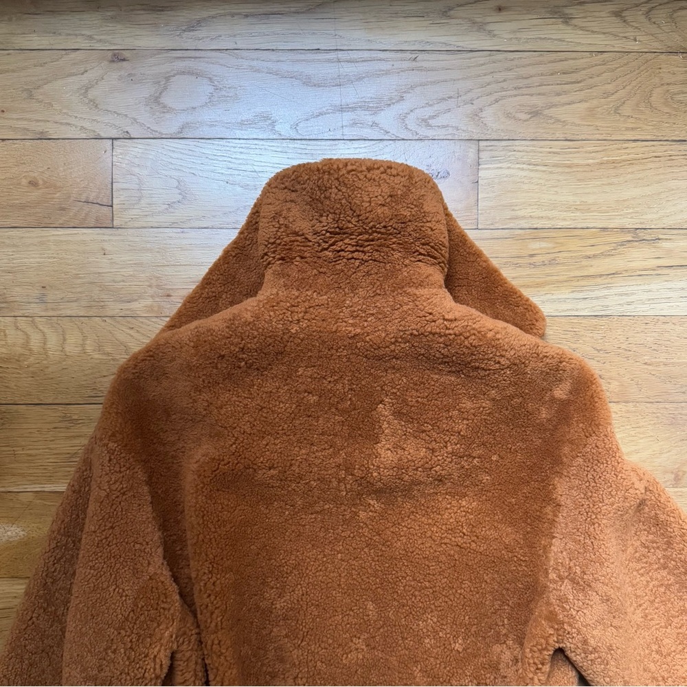NWT The Arrivals + Liz Perez ‘Kala’ shearling teddy coat, rust (size: XS) - Picture 9 of 12